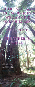 Roots and Wings