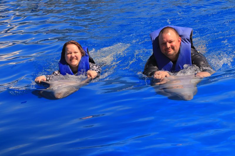 Swimming With Dolphins in Mexico