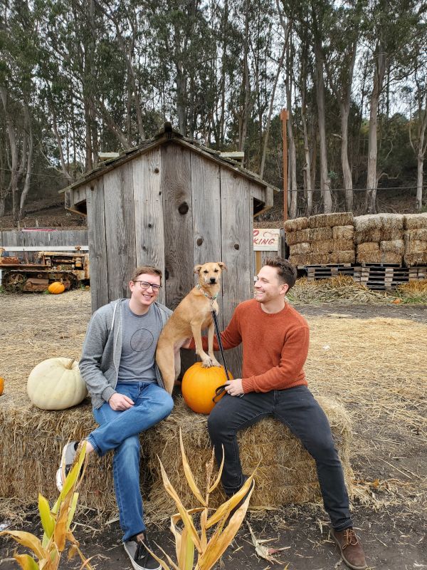 At the Pumpkin Patch With Our Dog, Callie