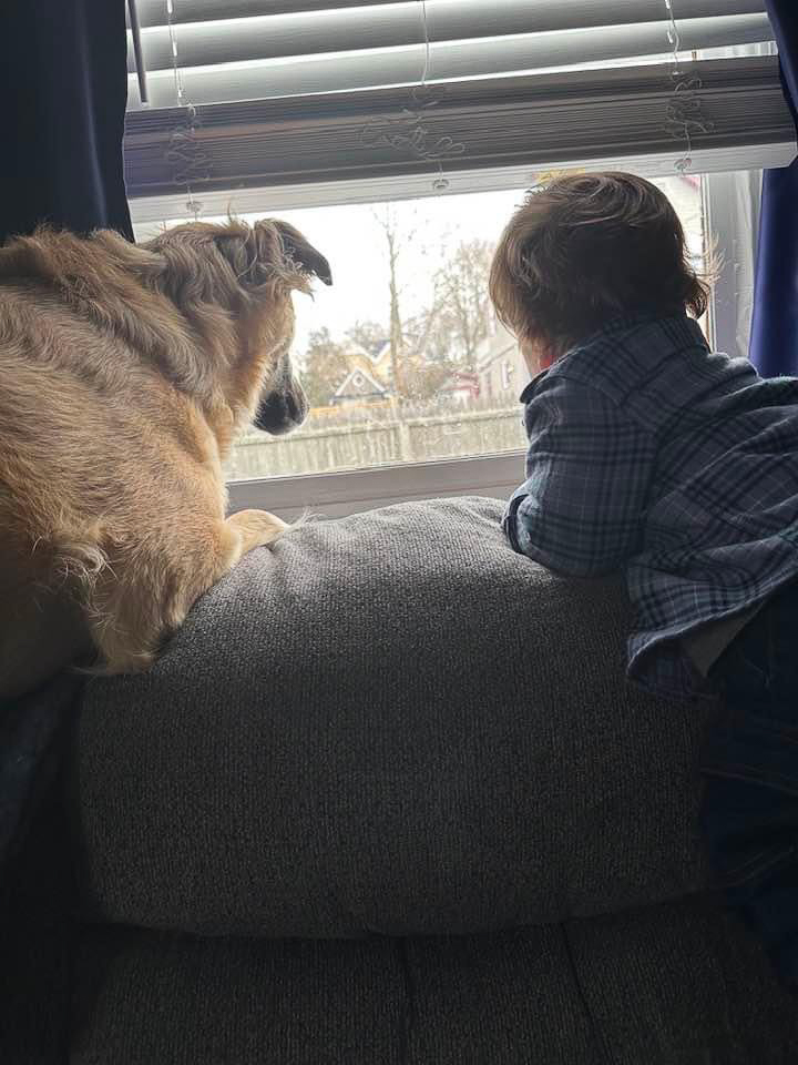 Ella Scoping Out the Neighborhood With Conor