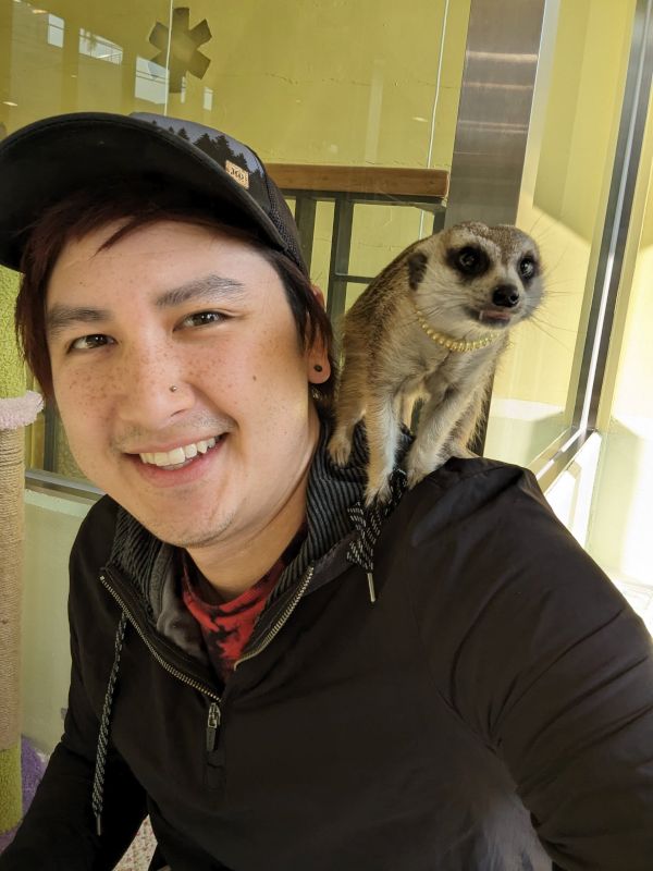 Ryan Spending Some Time With the Meerkats at a Cafe in Seoul, South Korea