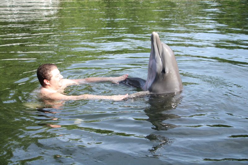 Kris Swimming with Dolphins
