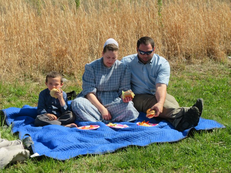 Picnic Lunch