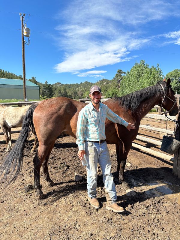 Caring for the Horses in Colorado