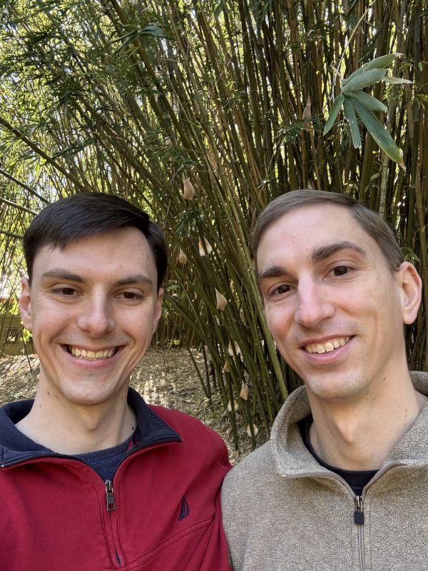 Strolling Through a Bamboo Forest